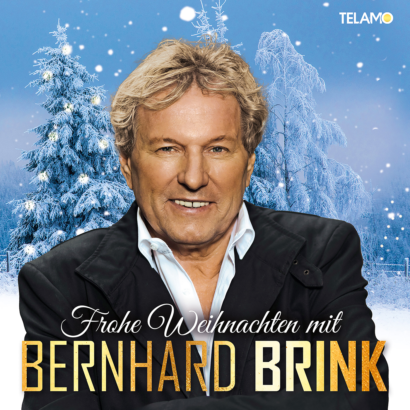 BERNHARD BRINK * Frohe Weihnachten mit Bernhard Brink (CD)