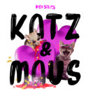der STEPS <br>der STEPS veröffentlicht eine neue Single: “Katz & Maus”!