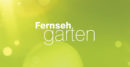 „ZDF-FERNSEHGARTEN“ <br>Vorverkaufsstart für den „ZDF-Fernsehgarten 2026“ am 2. März!