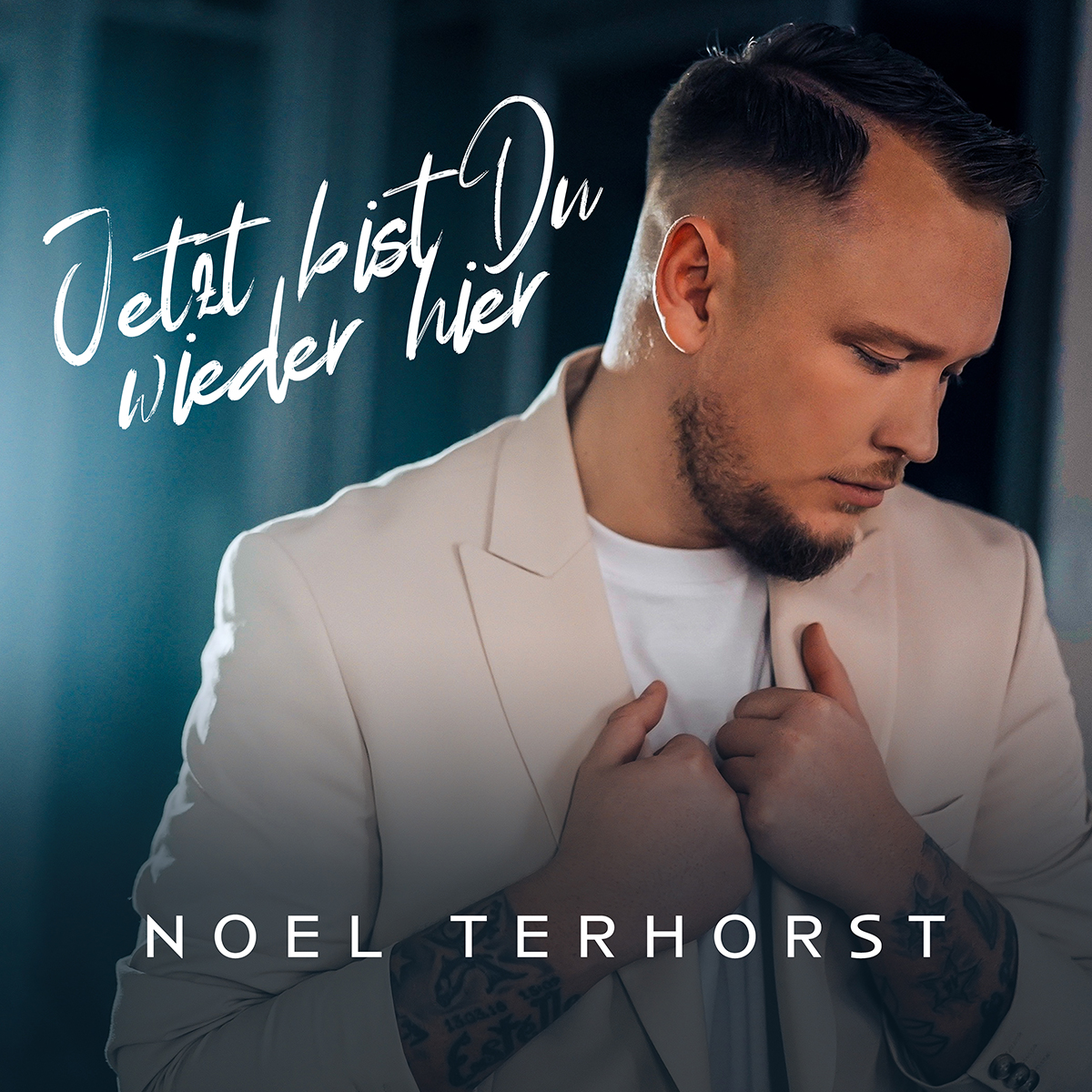 NOEL TERHORST * Jetzt bist du wieder hier (Download-Track)