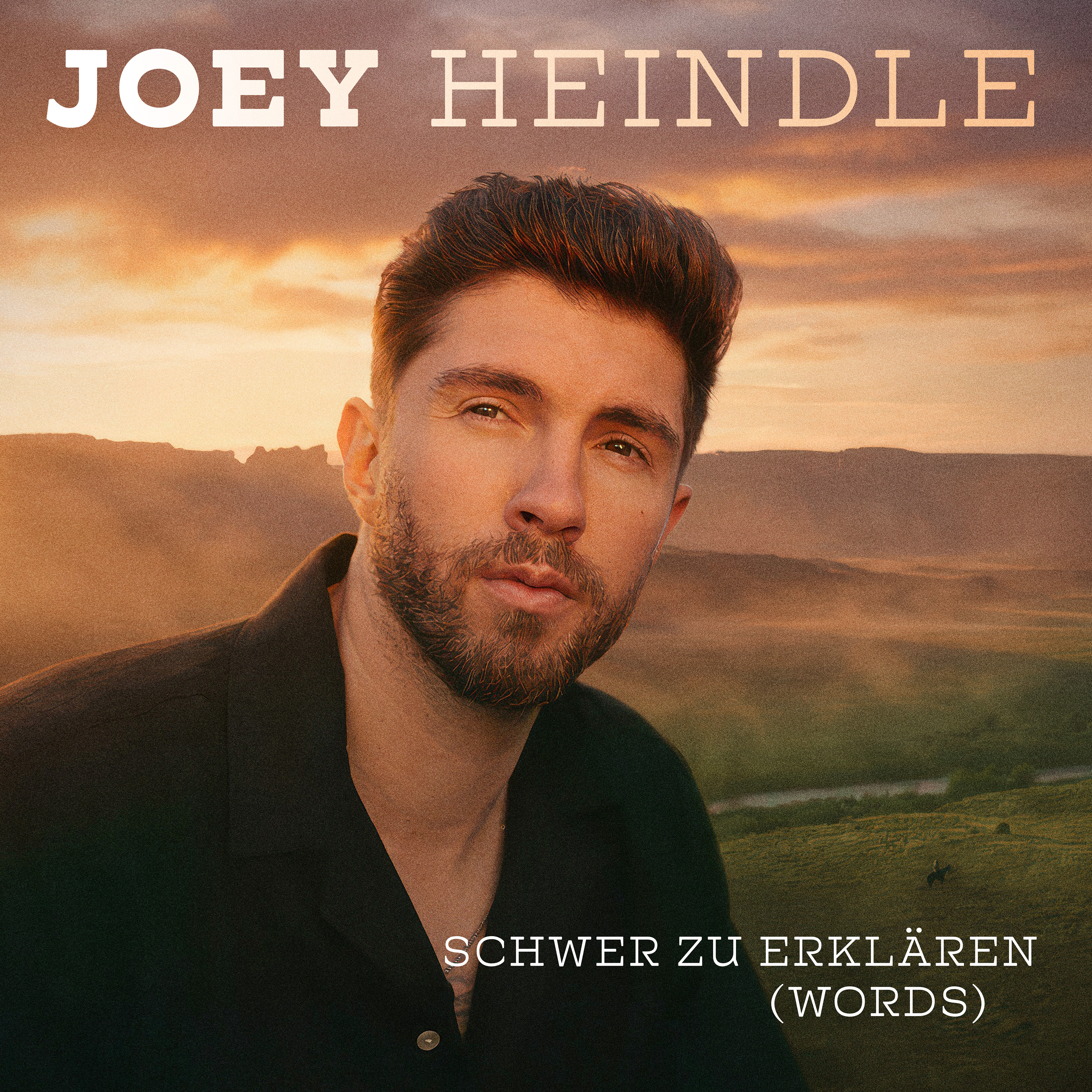 JOEY HEINDLE * Schwer zu erklären (Words)  (Download-Track)