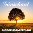 GÄNSEHAUT <br>”Morgendämmerung” – Das neue Album von GÄNSEHAUT!