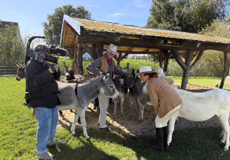 GUT AIDERBICHL BALLERMANN® RANCH <br>Der NDR auf der Ballermann® Ranch