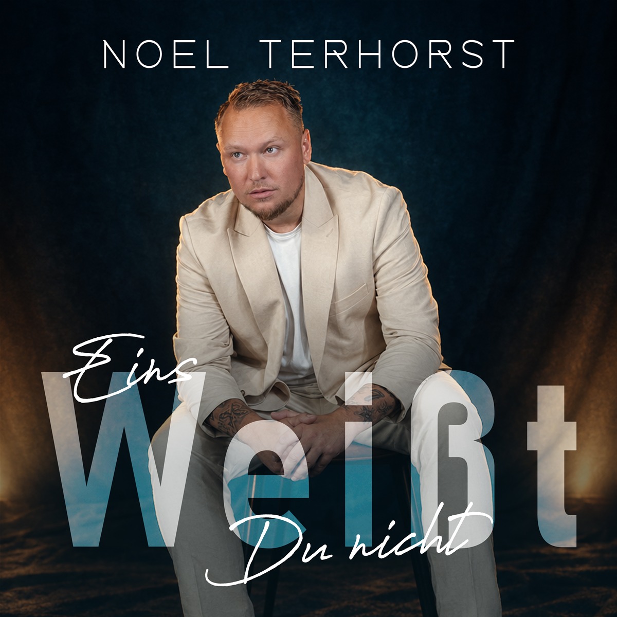 NOEL TERHORST * Eins weißt du nicht (Download-Track)